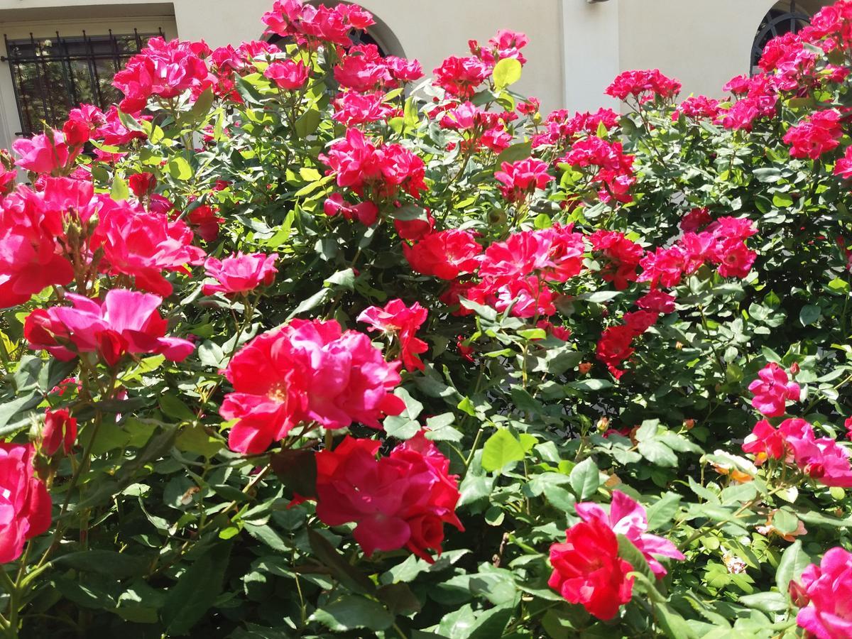 Russi Relais Villa Roncuzzi מראה חיצוני תמונה